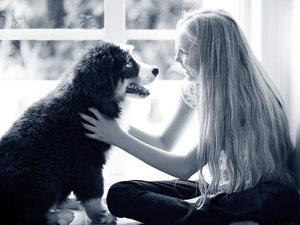 Et barn som klapper en hund.
