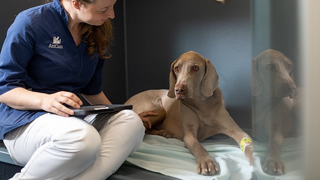 En person som sitter på en seng med en hund.