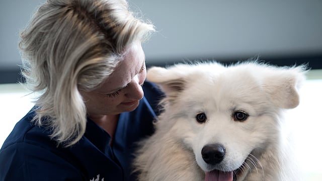 En person som holder en hund.