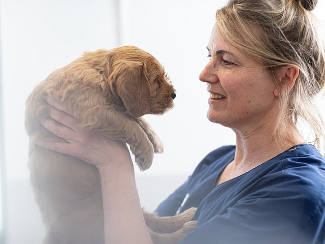 En person som holder en valp.