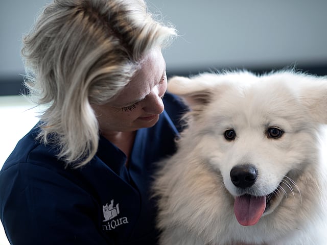 En person som holder en hund.