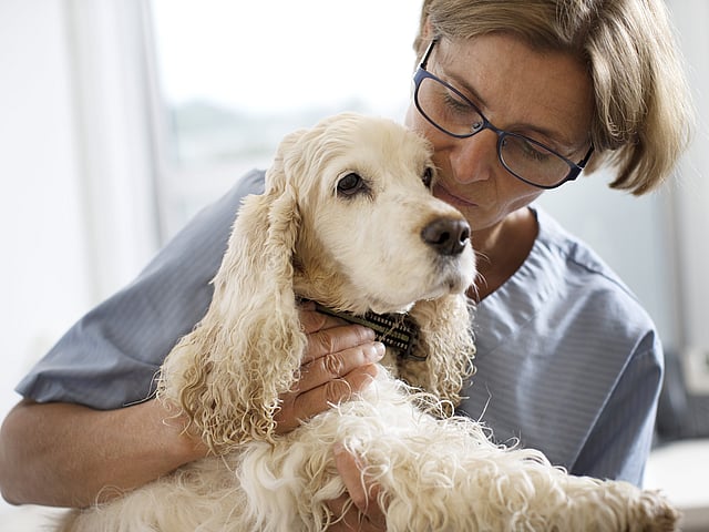 En person som holder en hund.