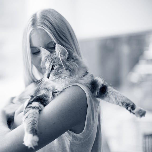 En person som holder en katt.