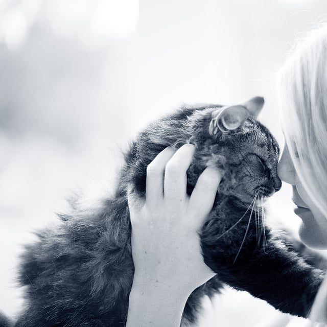 En person som holder en katt.