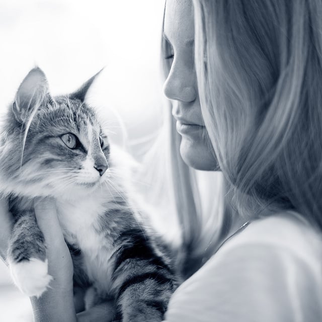 En person som holder en katt.