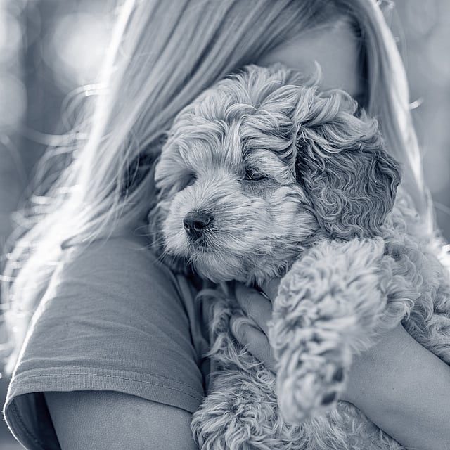 En person som holder en hund.