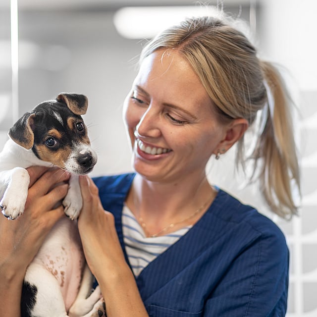 En person som holder en hund.