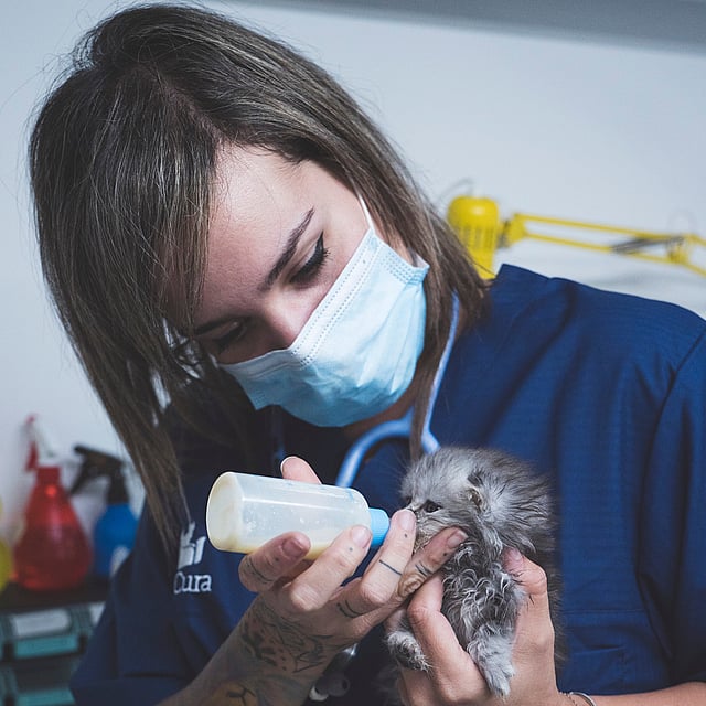 En person som har på seg maske og holder en babykatt.