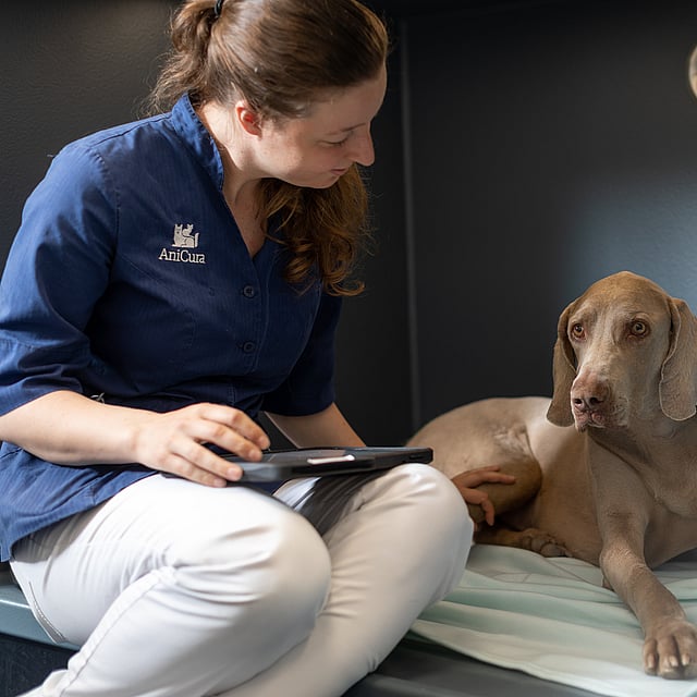 En person som sitter på en seng med en hund.