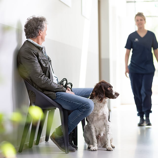 En person og en hund som sitter i en gang.