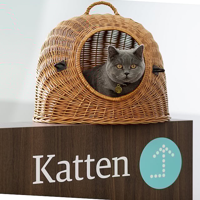En katt i en kurv.