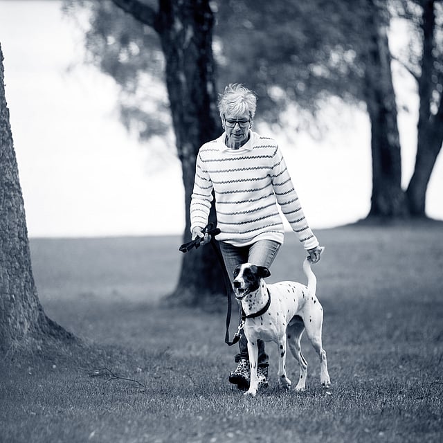 En person som går tur med hund.