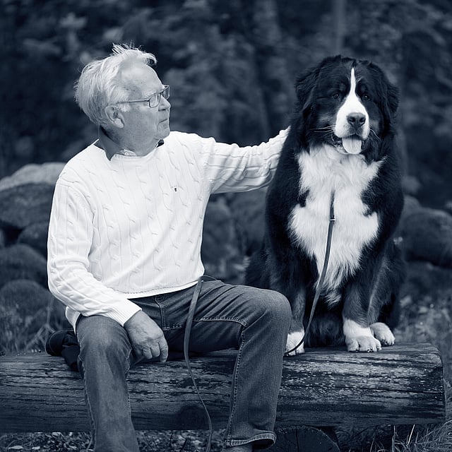 En person som sitter på en tømmerstokk med en hund.