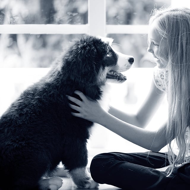 Et barn som klapper en hund.