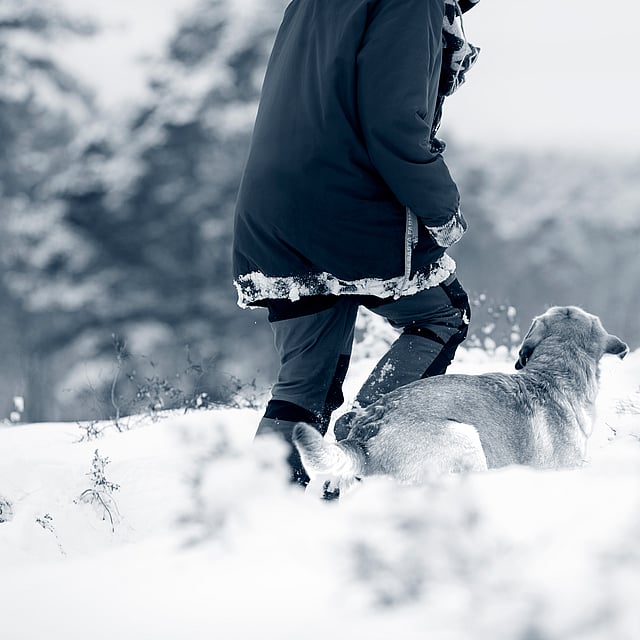 En person som går tur med en hund i snøen.