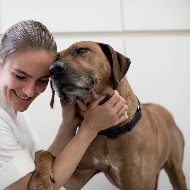En person som holder en hund.