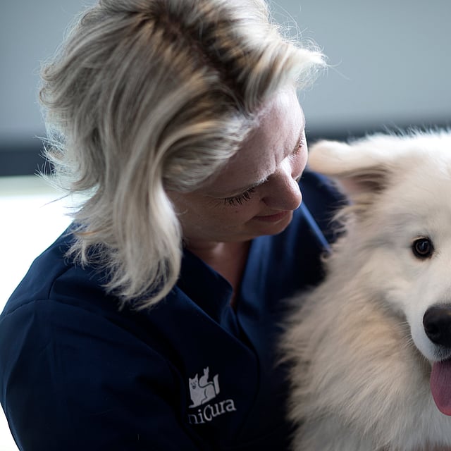 En person som holder en hund.