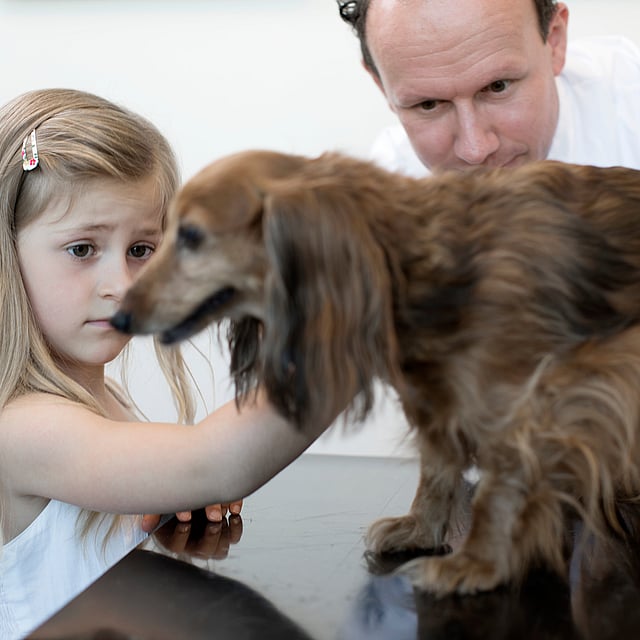 Et barn og en hund.