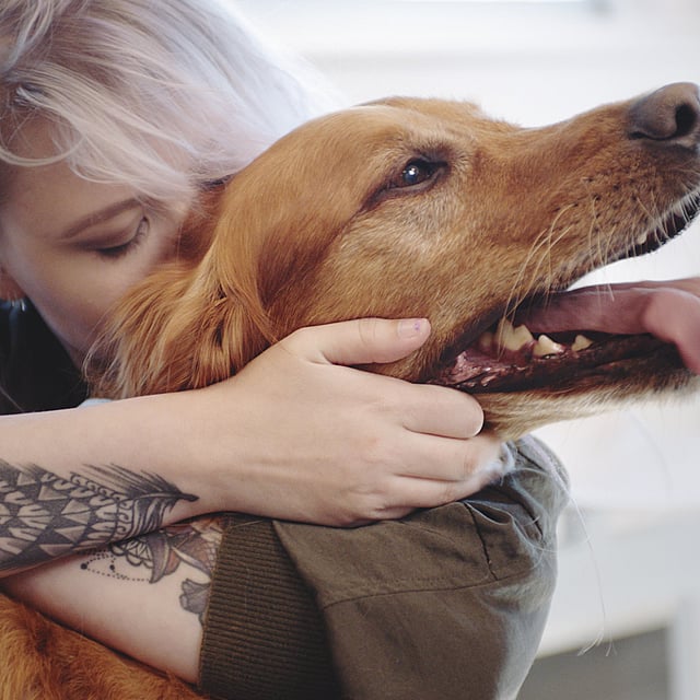 En person som klemmer en hund.