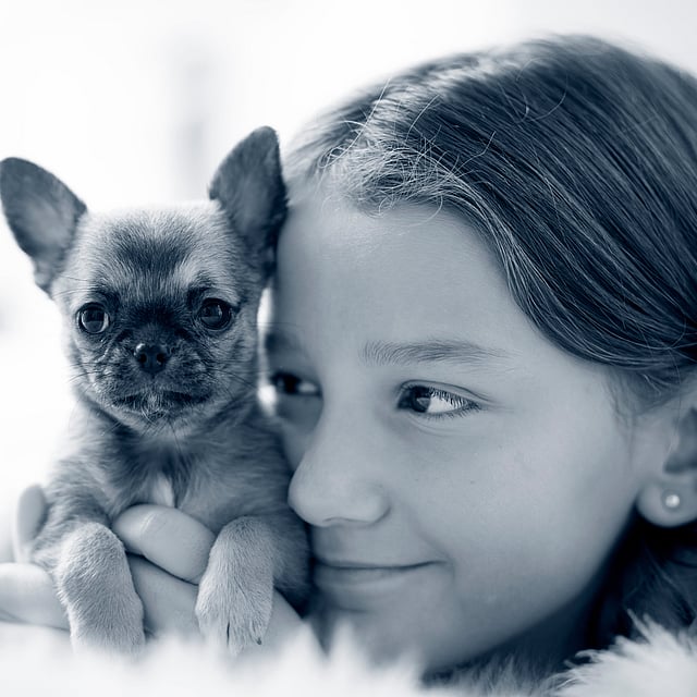 Et barn som holder en liten hund.