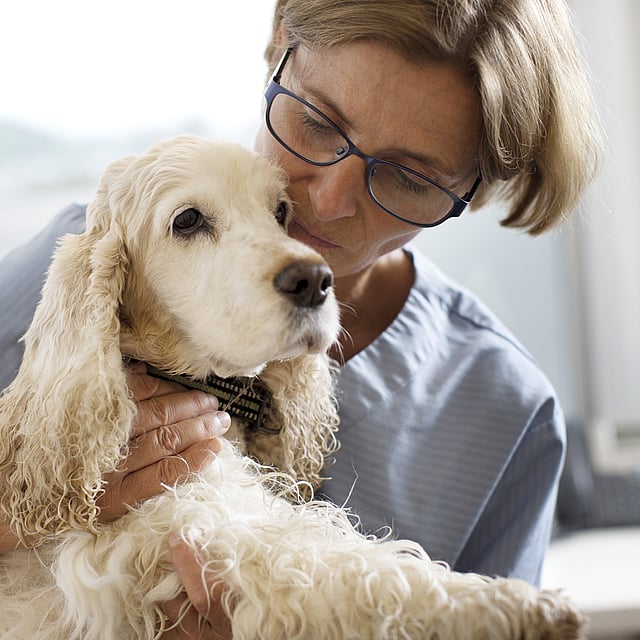 En person som holder en hund.