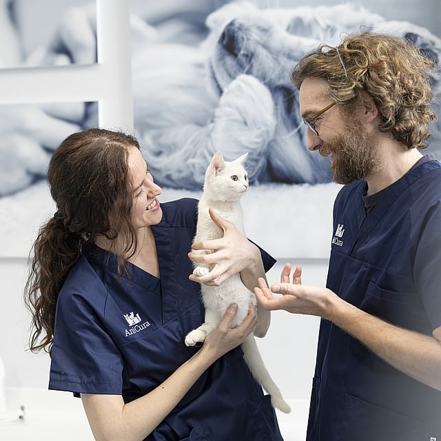 En person og person som holder en katt.