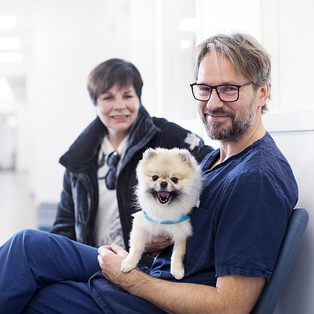 En person som holder en liten hund.