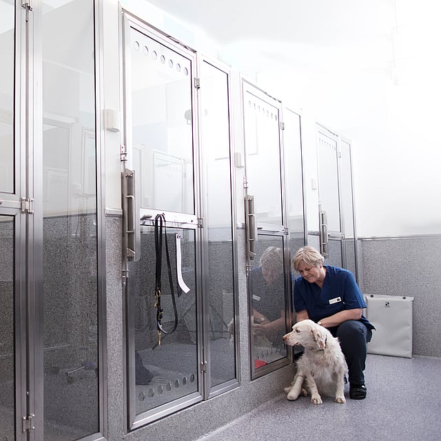 En person og hund i en kennel.