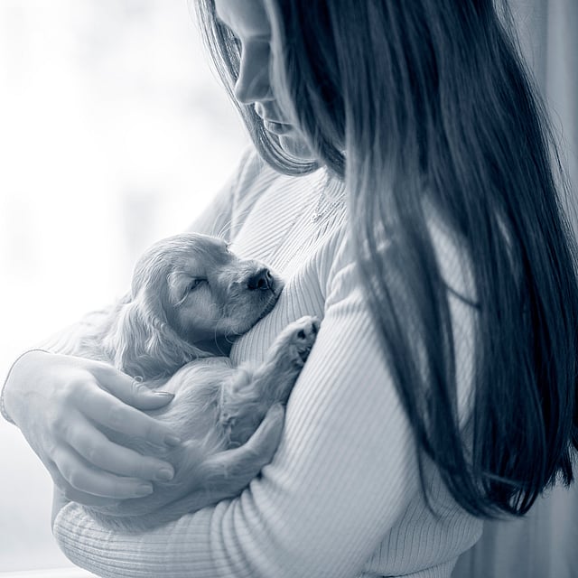 En person som holder en hund.