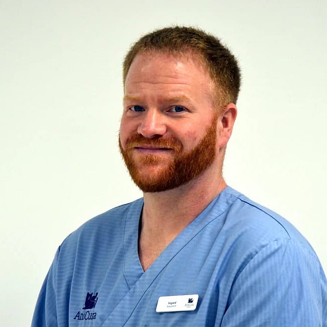 Bilde av Vegard Høybakken Pedersen, Klinikkassistent