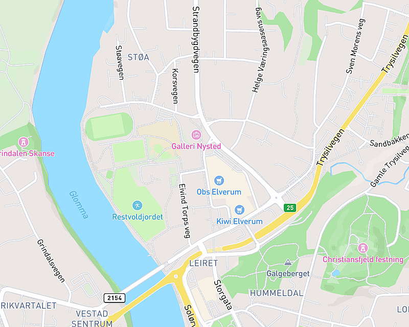 Et kart som viser beliggenheten til AniCura Elverum Dyrehospital