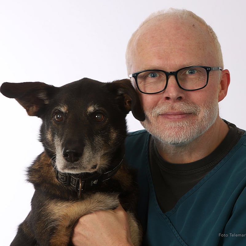 Bilde av Inge Vogt Engeland, Veterinær