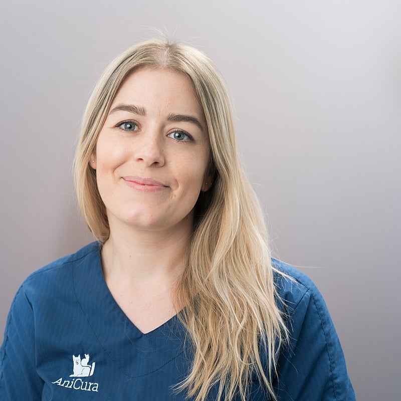 Bilde av Ann-Helen Axelsson, Autorisert Dyrepleier