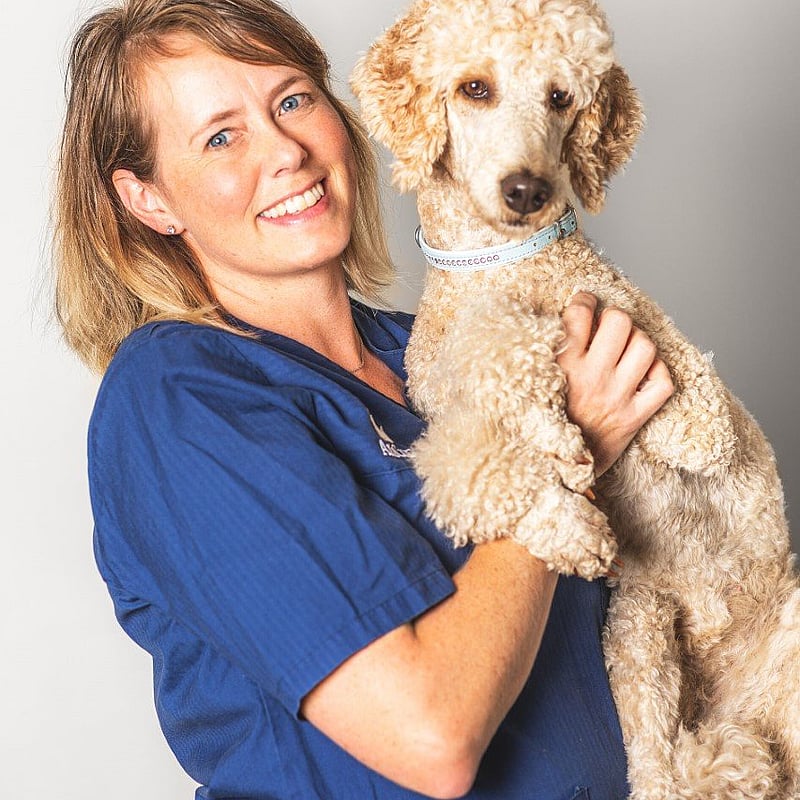 Bilde av Birgit Brohaug, Veterinær