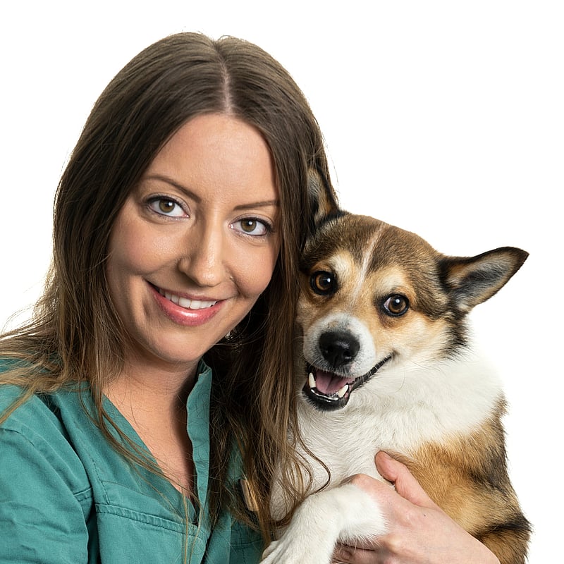 Bilde av Line Høiland, Veterinær