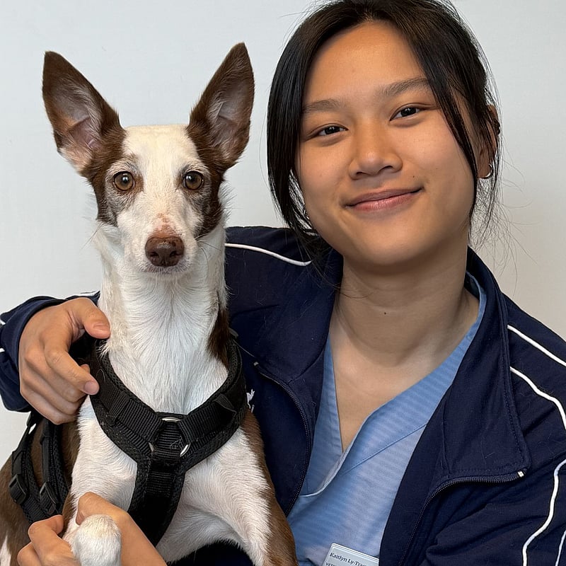 Bilde av Kaitlyn Ly-Tracy, Veterinær