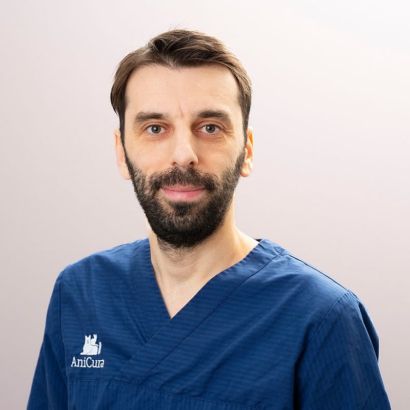 Bilde av Mirza Sisic, Klinikkassistent