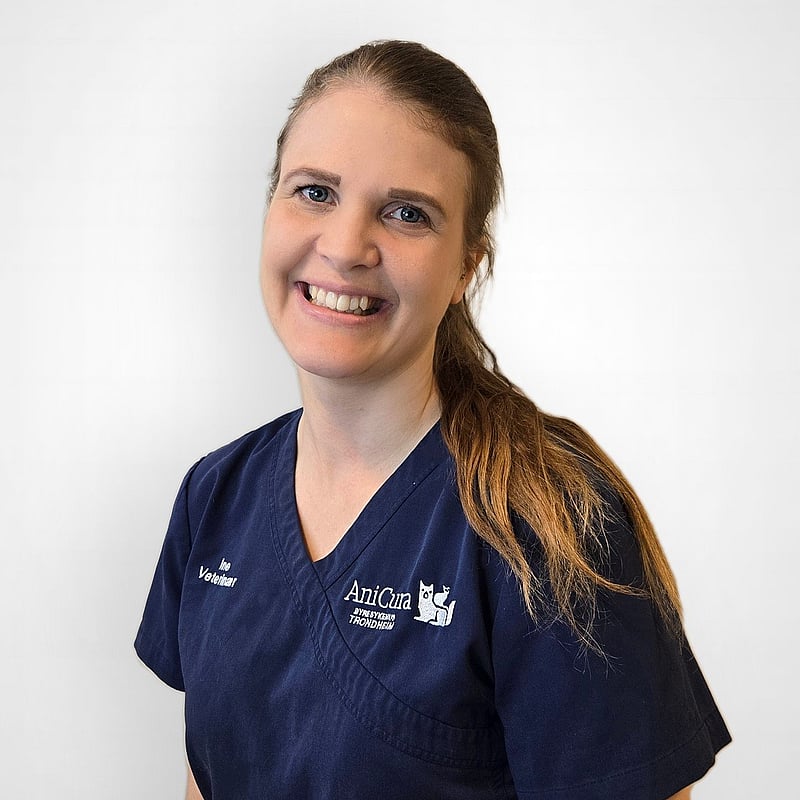 Bilde av Ine Sund, Veterinær Og Bvmedsci (hons), Bvm Bvs (hons), Spesialist I Hundens Og Kattens Sykdommer.