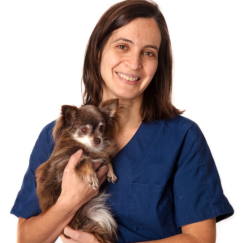 Bilde av Ana Calvão, Veterinær