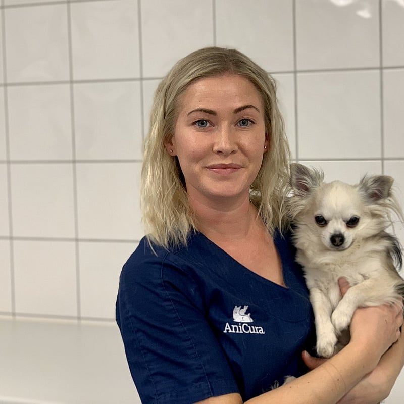 Bilde av Hanne Adolphsen, Autorisert Dyrepleier