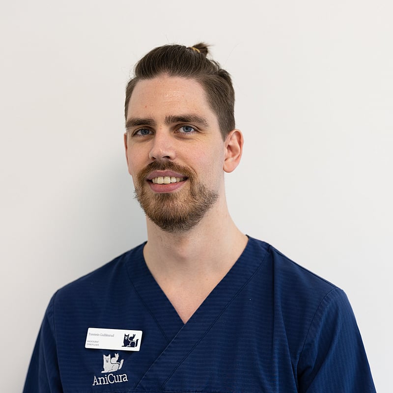 Bilde av Torstein Gulliksrud, Radiograf
