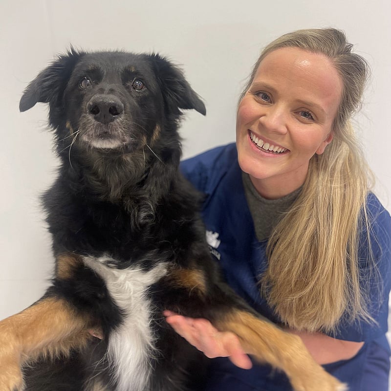 Bilde av Ingri Hadler-Jacobsen, Veterinærene
