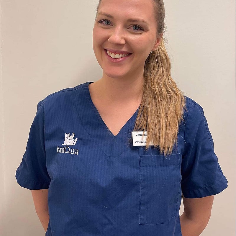 Bilde av Johanne Ørvik, Veterinær