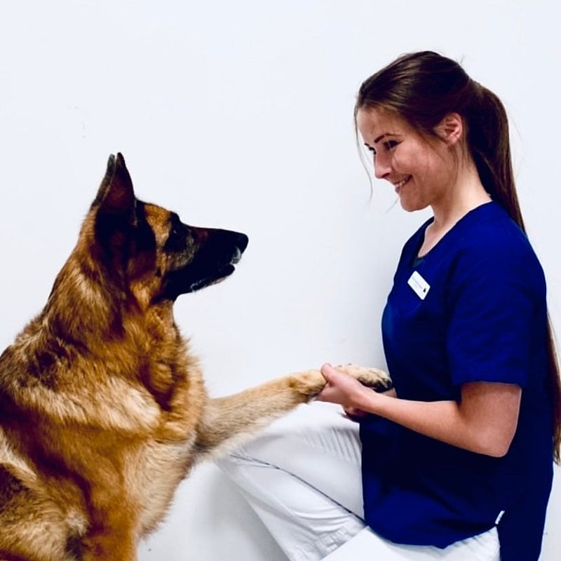 Bilde av Thale Svarstad Johnsen, Veterinær