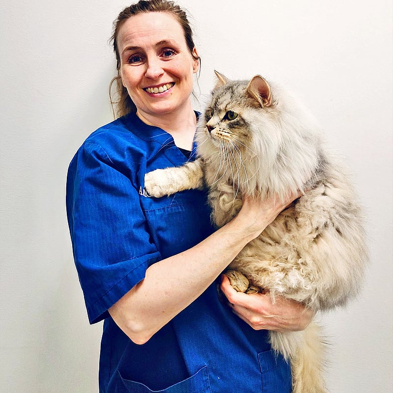 Bilde av Mona Bugge Bentsen, Veterinær