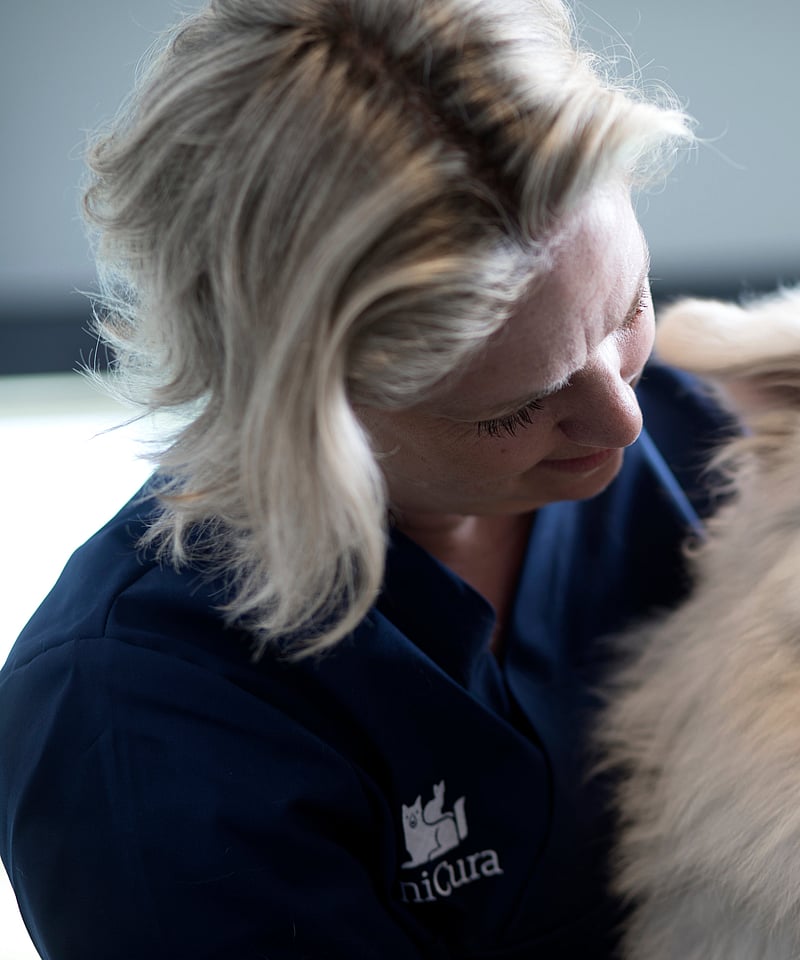 En person som holder en hund.