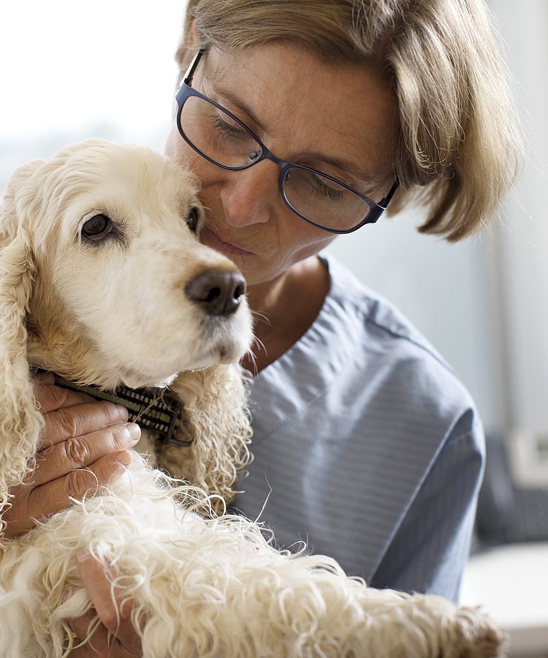En person som holder en hund.