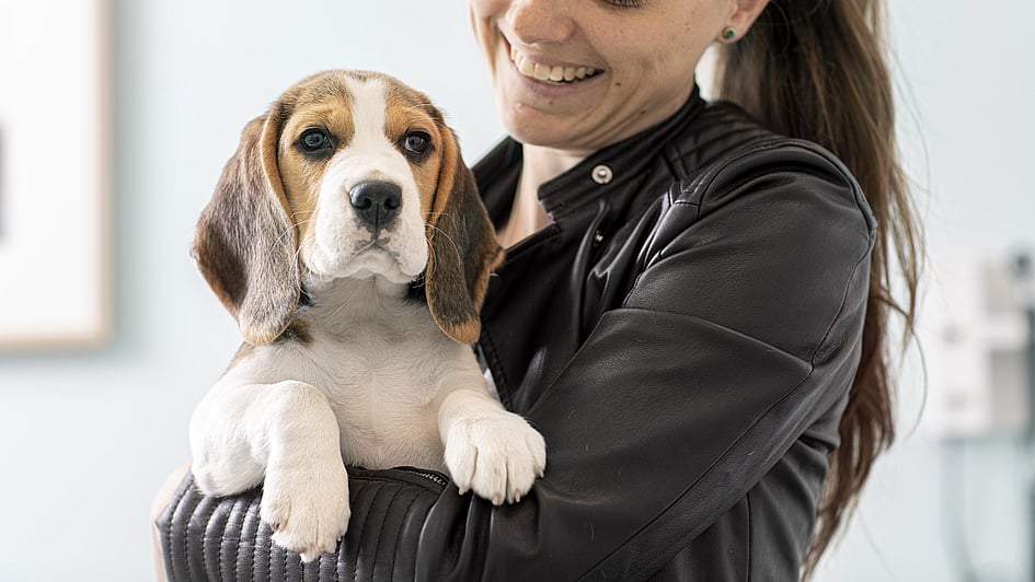 En person som holder en hund.