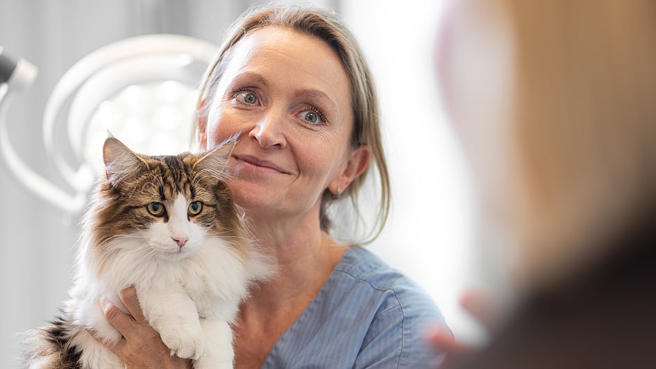 En person som holder en katt.