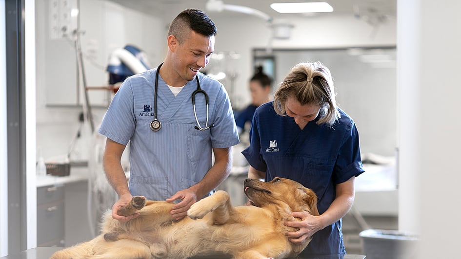 Et par veterinærer og en hund som ligger på et bord.